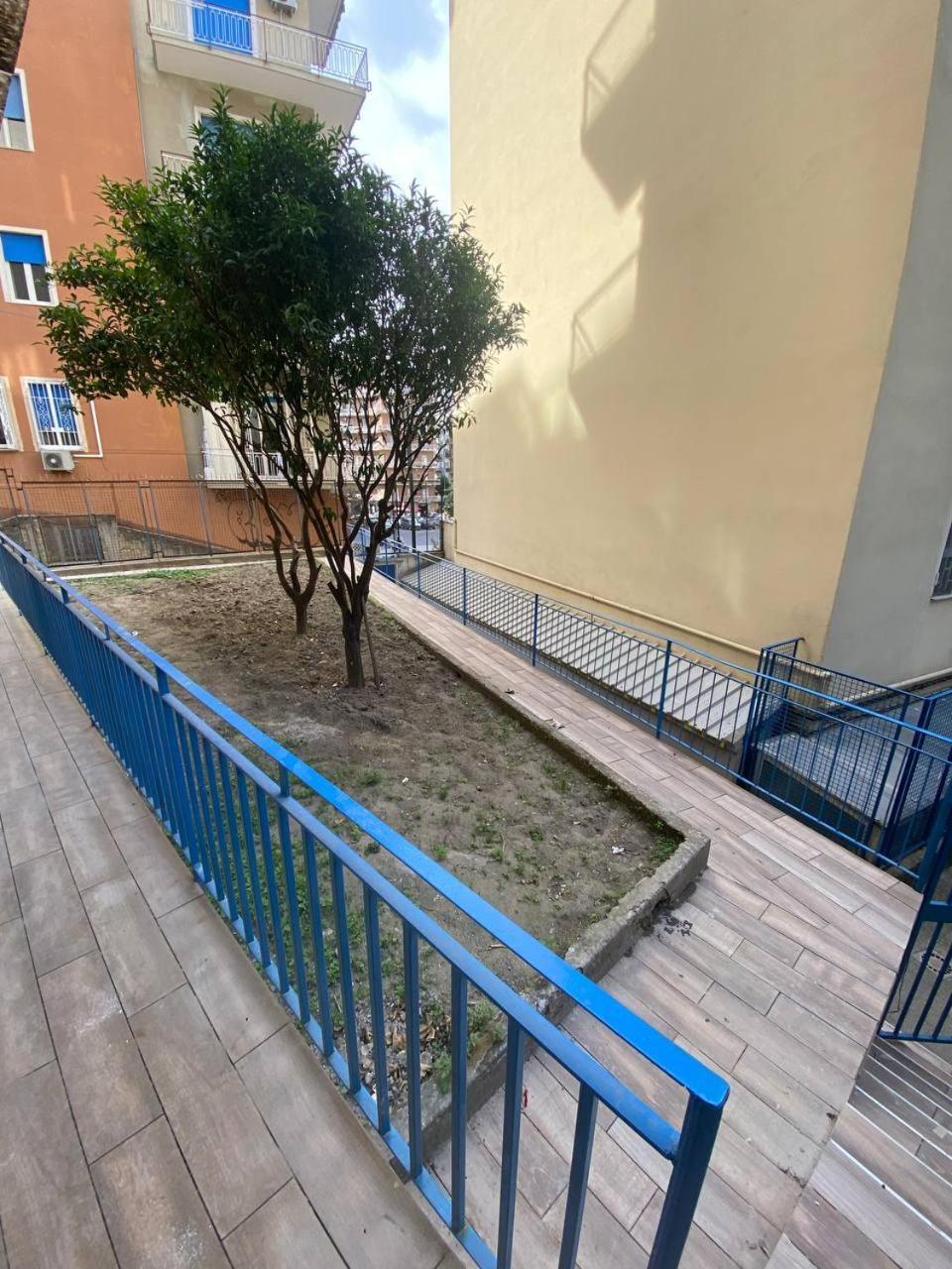 280 Mt Dalla Metro The Mox Luxury Apartament Apartment Naples Exterior photo